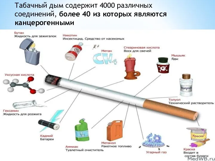 Табачный дым содержит 4000 различных соединений, более 40 из которых являются канцерогенными