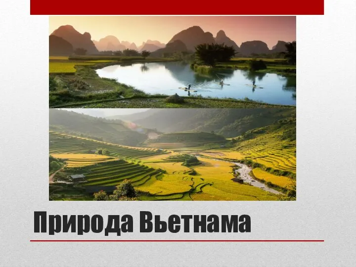 Природа Вьетнама