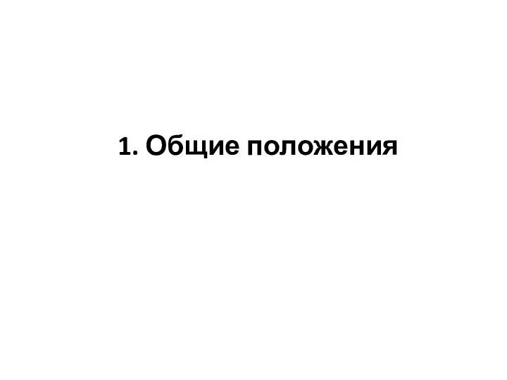 1. Общие положения