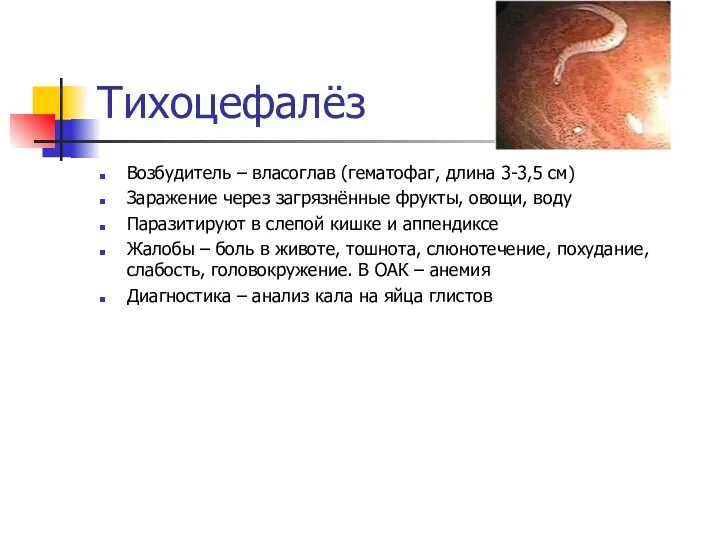 Тихоцефалёз Возбудитель – власоглав (гематофаг, длина 3-3,5 см) Заражение через загрязнённые