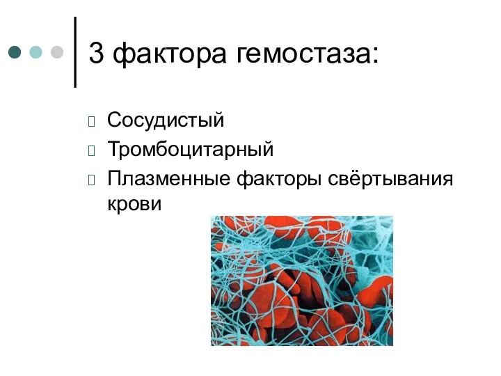 3 фактора гемостаза: Сосудистый Тромбоцитарный Плазменные факторы свёртывания крови