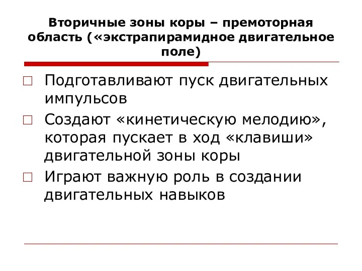 Вторичные зоны коры – премоторная область («экстрапирамидное двигательное поле) Подготавливают пуск