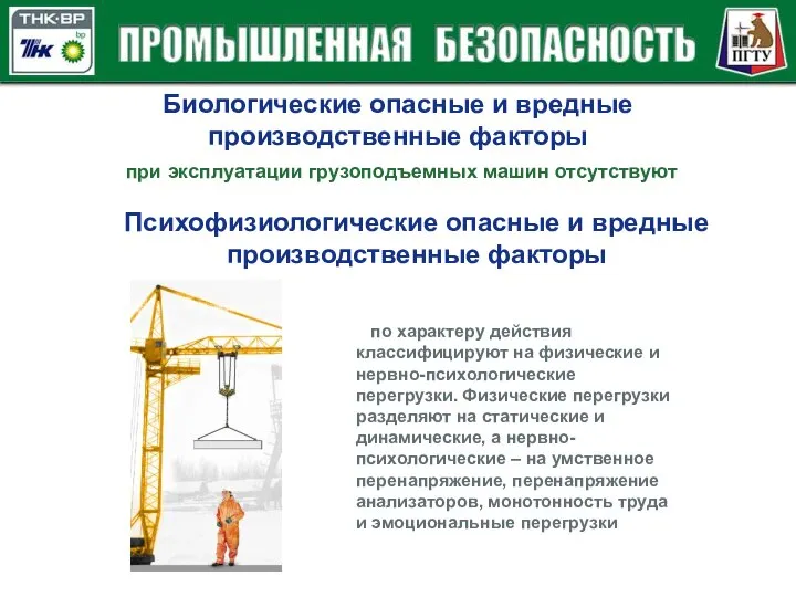 Биологические опасные и вредные производственные факторы при эксплуатации грузоподъемных машин отсутствуют