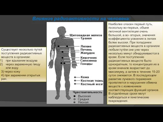 Влияние радиоактивности на человека: Существует несколько путей поступления радиоактивных веществ в