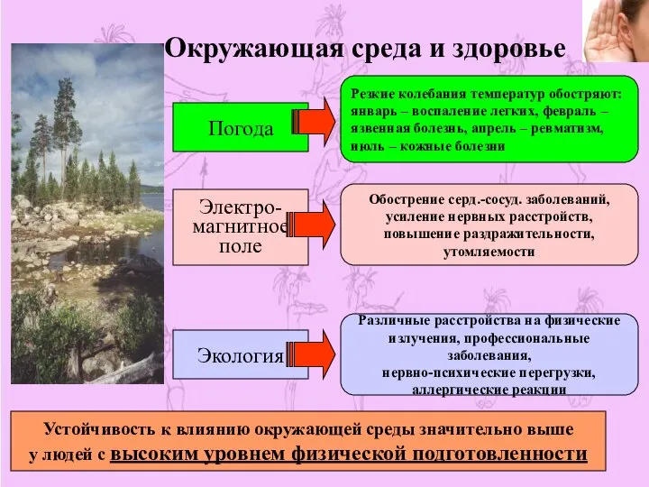 Окружающая среда и здоровье Погода Электро- магнитное поле Экология Резкие колебания