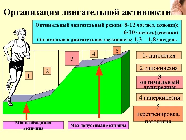 Организация двигательной активности 1 2 3 4 5 Min необходимая величина