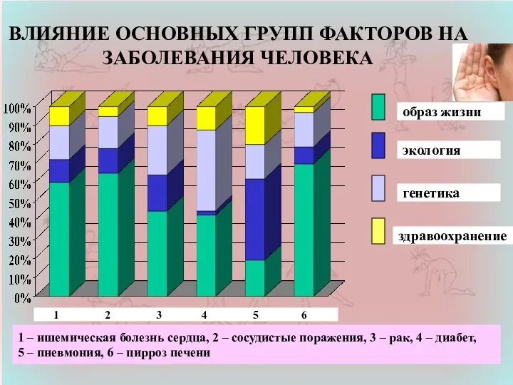 ВЛИЯНИЕ ОСНОВНЫХ ГРУПП ФАКТОРОВ НА ЗАБОЛЕВАНИЯ ЧЕЛОВЕКА образ жизни экология генетика