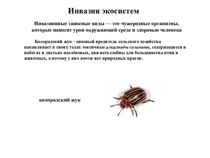 Инвазия экосистем Инвазионные заносные виды — это чужеродные организмы, которые наносят