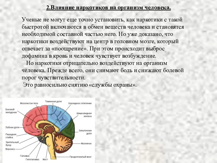 Ученые не могут еще точно установить, как наркотики с такой быстротой