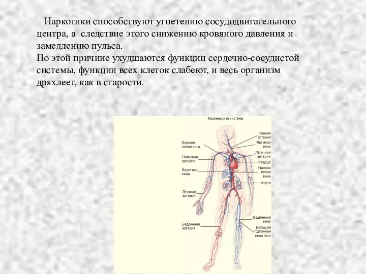 Наркотики способствуют угнетению сосудодвигательного центра, а следствие этого снижению кровяного давления