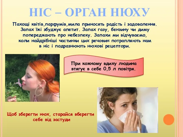 НІС – ОРГАН НЮХУ Пахощі квітів,парфумів,мила приносять радість і задоволення. Запах