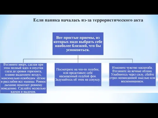 Если паника началась из-за террористического акта