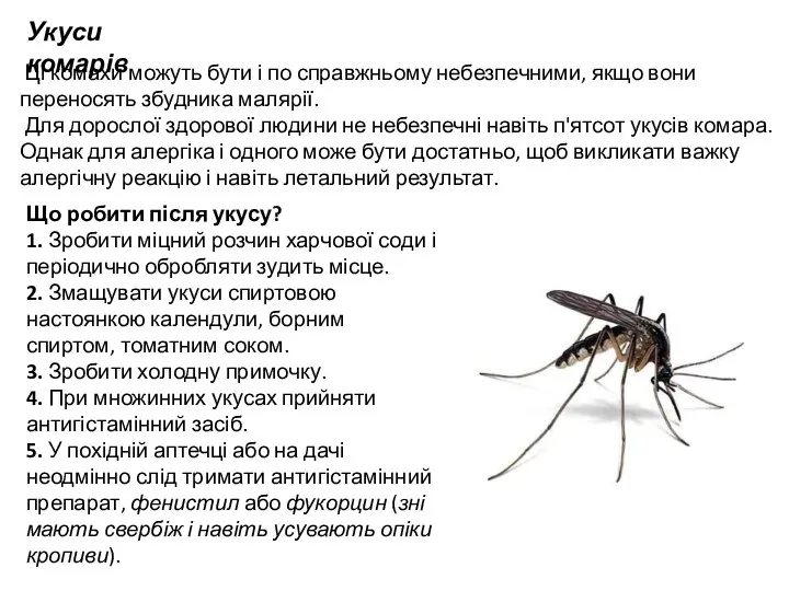 Укуси комарів Ці комахи можуть бути і по справжньому небезпечними, якщо