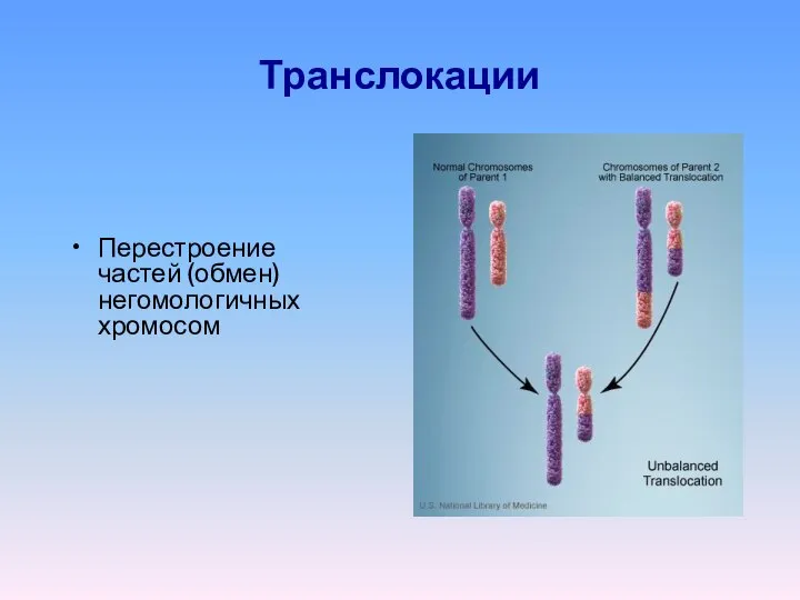 Транслокации Перестроение частей (обмен) негомологичных хромосом