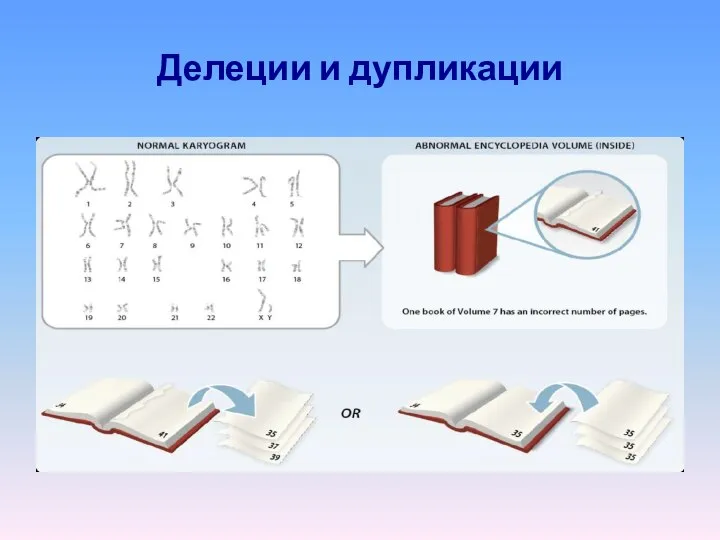 Делеции и дупликации