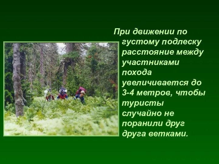 При движении по густому подлеску расстояние между участниками похода увеличивается до