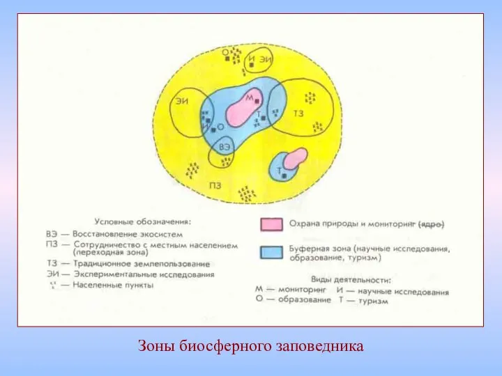 Зоны биосферного заповедника