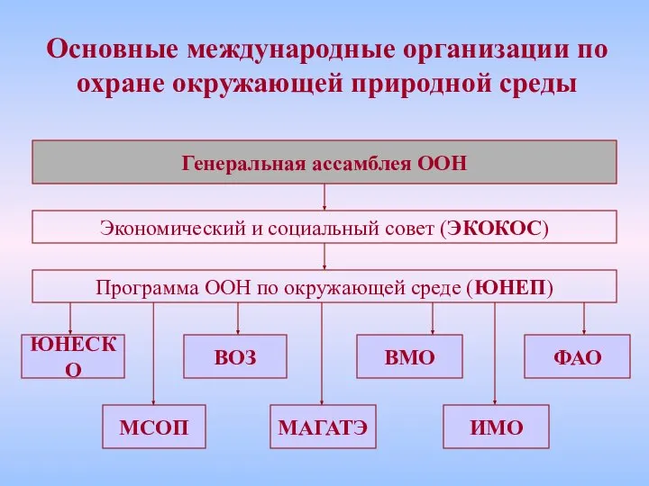 Основные международные организации по охране окружающей природной среды Генеральная ассамблея ООН