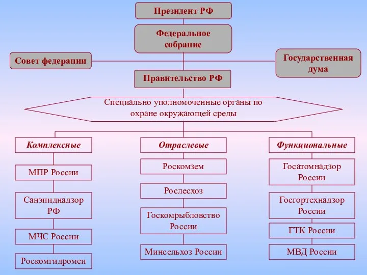 Президент РФ Федеральное собрание Правительство РФ Специально уполномоченные органы по охране