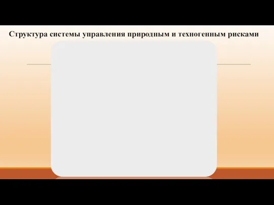 Структура системы управления природным и техногенным рисками