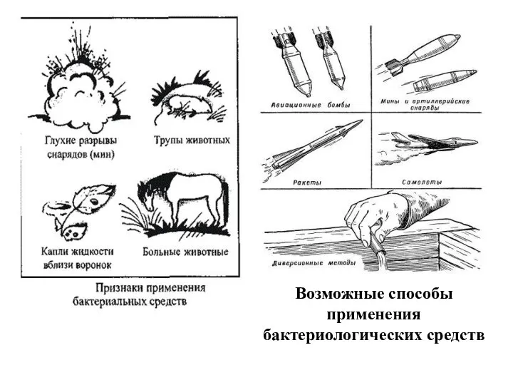 Возможные способы применения бактериологических средств