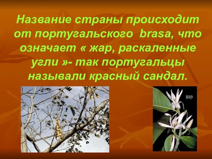 Название страны происходит от португальского brasa, что означает « жар, раскаленные