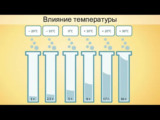 Влияние температуры – 20°C – 10°C 1 г. 5 г. 2,5