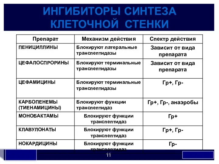 ИНГИБИТОРЫ СИНТЕЗА КЛЕТОЧНОЙ СТЕНКИ