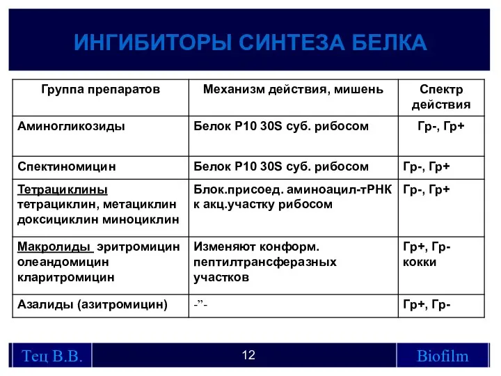 ИНГИБИТОРЫ СИНТЕЗА БЕЛКА Тец В.В. Biofilm