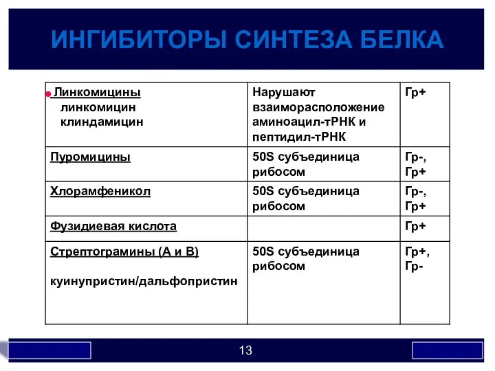 ИНГИБИТОРЫ СИНТЕЗА БЕЛКА