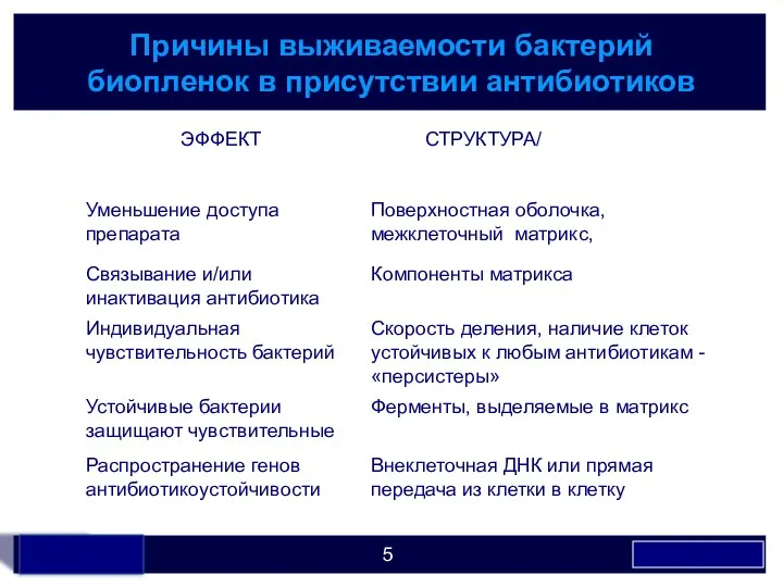 Причины выживаемости бактерий биопленок в присутствии антибиотиков