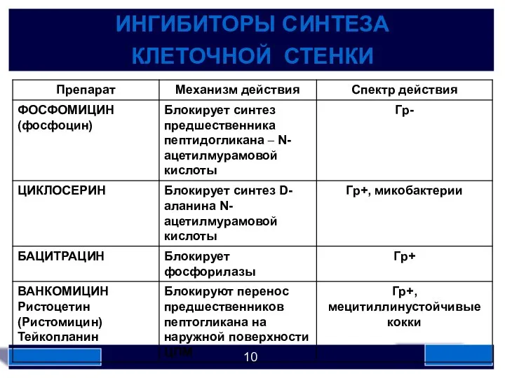 ИНГИБИТОРЫ СИНТЕЗА КЛЕТОЧНОЙ СТЕНКИ