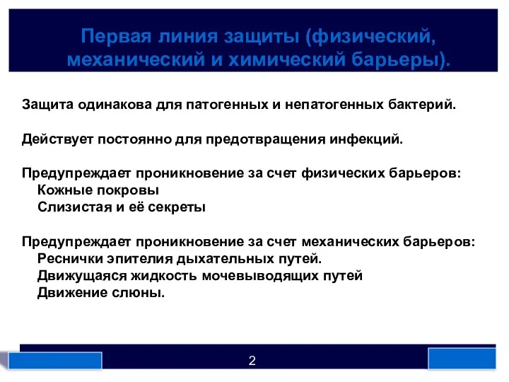 Первая линия защиты (физический, механический и химический барьеры). Защита одинакова для