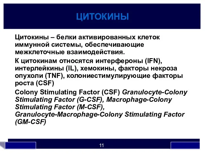 ЦИТОКИНЫ Цитокины – белки активированных клеток иммунной системы, обеспечивающие межклеточные взаимодействия.