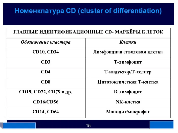 Номенклатура CD (cluster of differentiation)