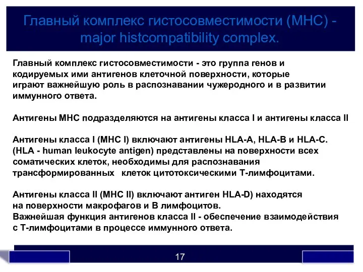 Главный комплекс гистосовместимости (МНС) - major histcompatibility complex. Главный комплекс гистосовместимости