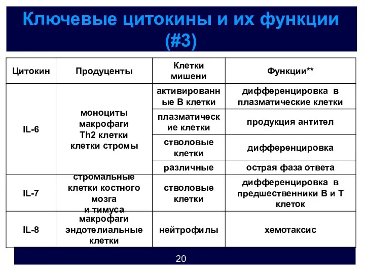 Ключевые цитокины и их функции (#3)