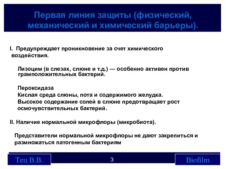 Первая линия защиты (физический, механический и химический барьеры). Тец В.В. Biofilm