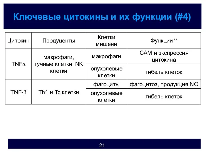 Ключевые цитокины и их функции (#4)