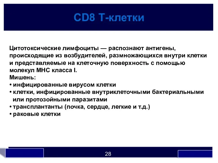 СD8 Т-клетки Цитотоксические лимфоциты — распознают антигены, происходящие из возбудителей, размножающихся