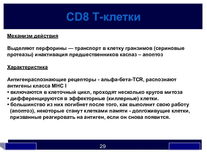 СD8 Т-клетки Механизм действия Выделяют перфорины — транспорт в клетку гранзимов