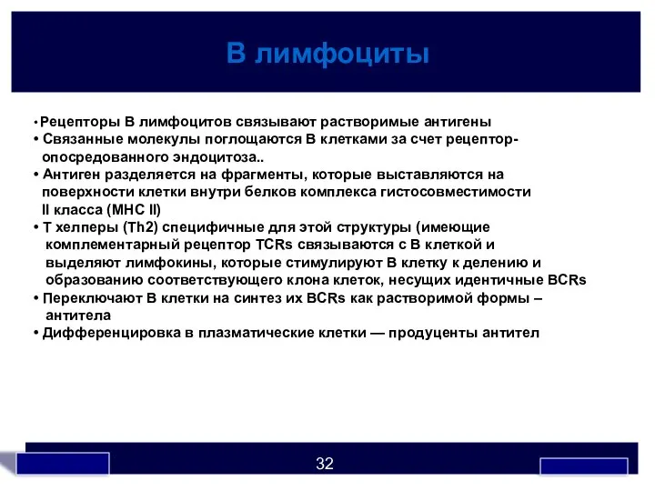 В лимфоциты • Рецепторы В лимфоцитов связывают растворимые антигены • Связанные