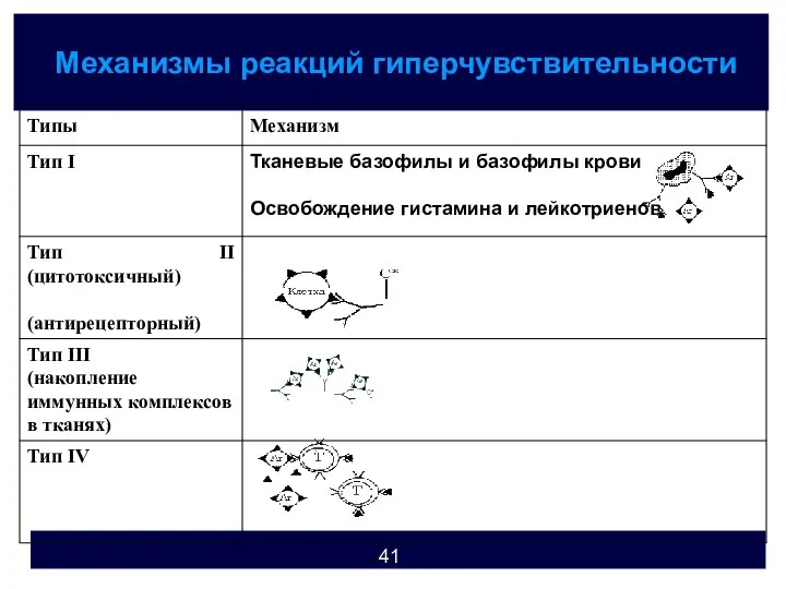 Механизмы реакций гиперчувствительности