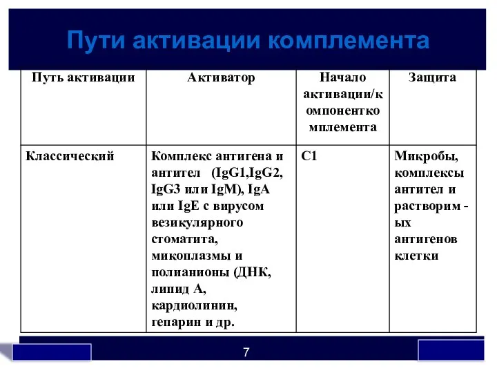 Пути активации комплемента