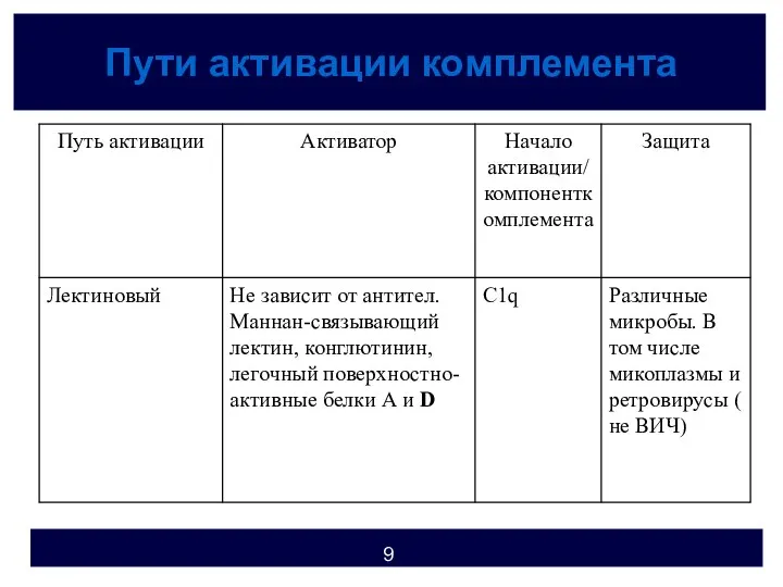 Пути активации комплемента