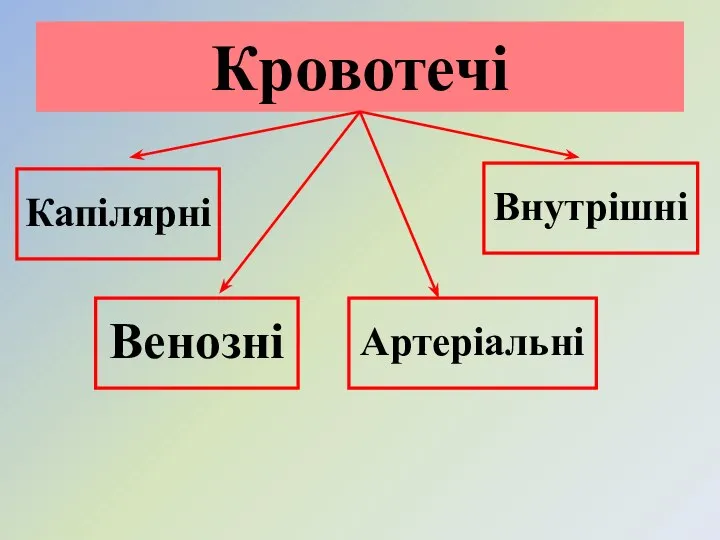 Кровотечі Капілярні Венозні Артеріальні Внутрішні