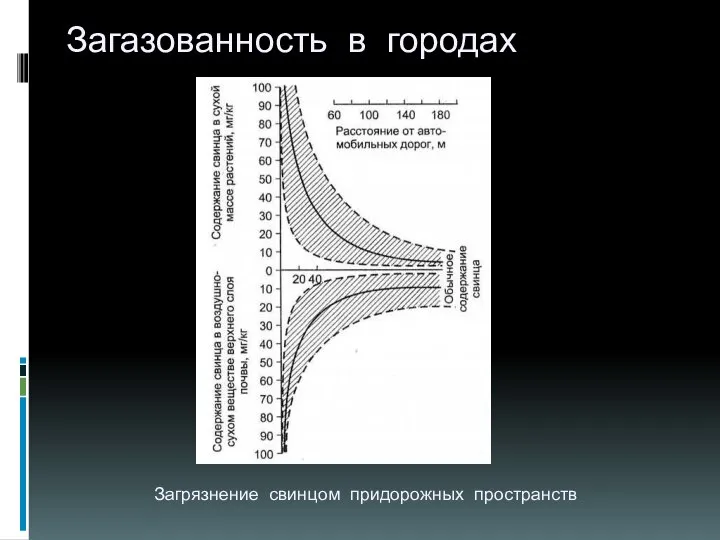 Загазованность в городах Загрязнение свинцом придорожных пространств