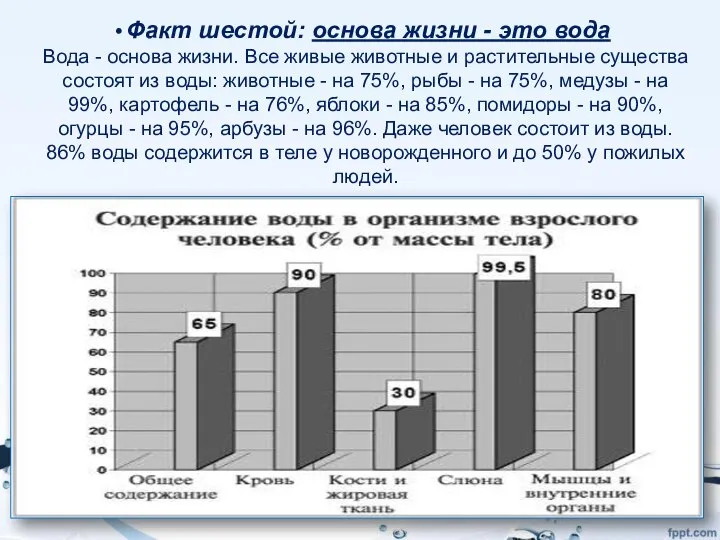 Факт шестой: основа жизни - это вода Вода - основа жизни.