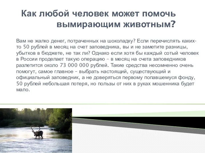 Как любой человек может помочь вымирающим животным? Вам не жалко денег,