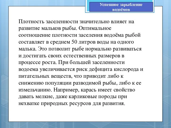 Плотность заселенности значительно влияет на развитие мальков рыбы. Оптимальное соотношение плотности